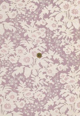 Tender Omnibus : The First 25 Years of Tender Buttons Press