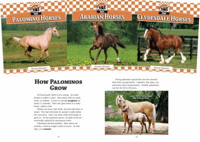 Horses