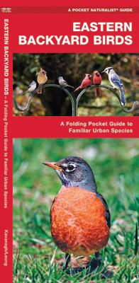 Eastern Backyard Birds : A Folding Pocket Guide to Familiar Urban Species