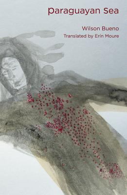 Paraguayan Sea