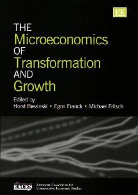 The Microeconomics of Transformation and Growth