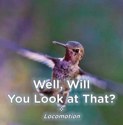 Well, Will You Look at That? Locomotion