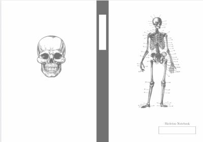 7 X 10 in Skeleton Skull 100-Page Notebook (B5 17.78 X 25.4 Cm) : Vintage Anatomy Illustration Composition Book