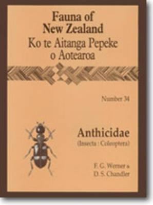 Anthicidae (Insecta: Coleoptera)