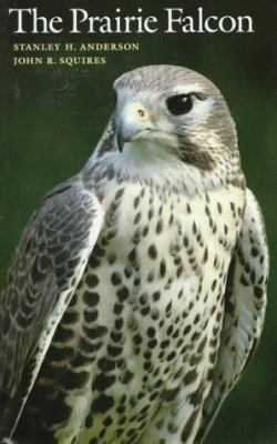 The Prairie Falcon