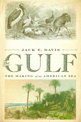 The Gulf : The Making of an American Sea