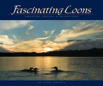 Fascinating Loons : Amazing Images and Behaviors