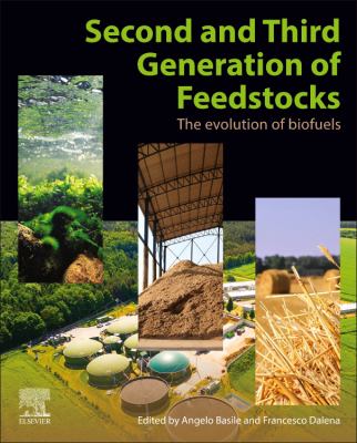 Second and Third Generation of Feedstocks : The Evolution of Biofuels