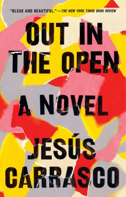 Out in the Open : A Novel