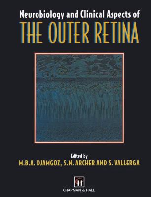 Neurobiology and Clinical Aspects of the Outer Retina