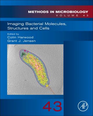 Imaging Bacterial Molecules, Structures and Cells