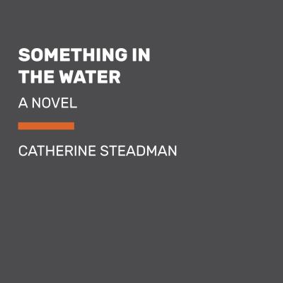 Something in the Water : A Novel