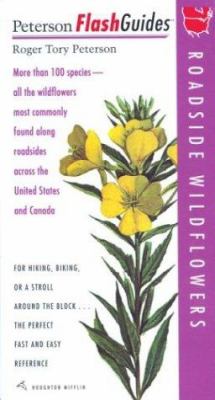 Roadside Wildflowers