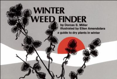 Winter Weed Finder : A Guide to Dry Plants in Winter