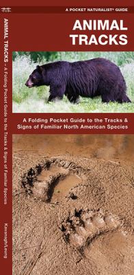 Animal Tracks : A Folding Pocket Guide to the Tracks and Signs of Familiar North American Species