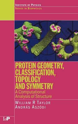 Protein Geometry, Classification, Topology and Symmetry : A Computational Analysis of Structure