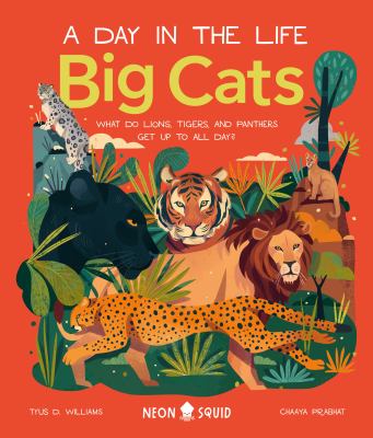Big Cats (a Day in the Life) : What Do Lions, Tigers, and Panthers Get up to All Day?