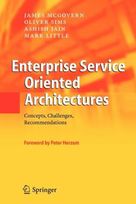 Enterprise Service Oriented Architectures : Concepts, Challenges, Recommendations