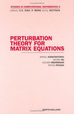 Perturbation Theory for Matrix Equations