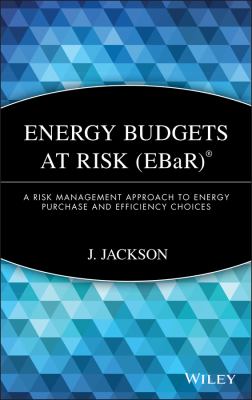 Energy Budgets at Risk (EBaR) : A Risk Management Approach to Energy Purchase and Efficiency Choices