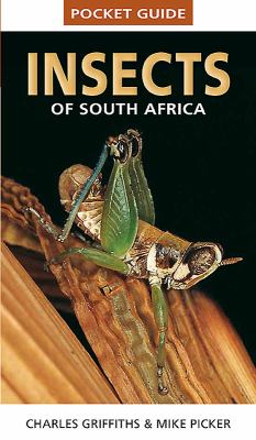 Insects of South Africa