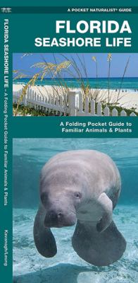 Florida Seashore Life : A Folding Pocket Guide to Familiar Plants and Animals