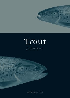 Trout